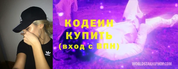 соль ск Верхний Тагил
