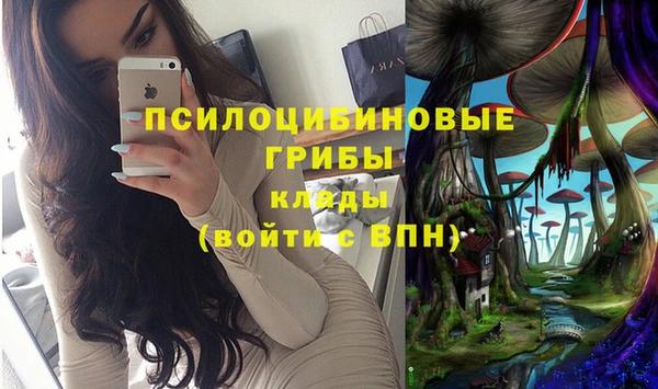 мескалин Дмитров