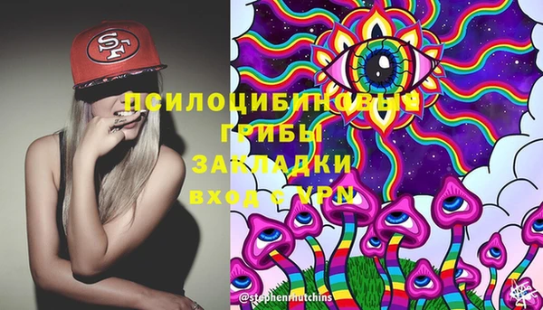 соль ск Верхний Тагил