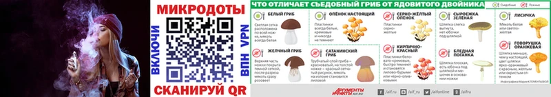 Галлюциногенные грибы Cubensis купить закладку Мензелинск